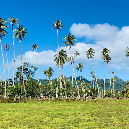 Huahine Serenity Cottage Maroe Exterior photo